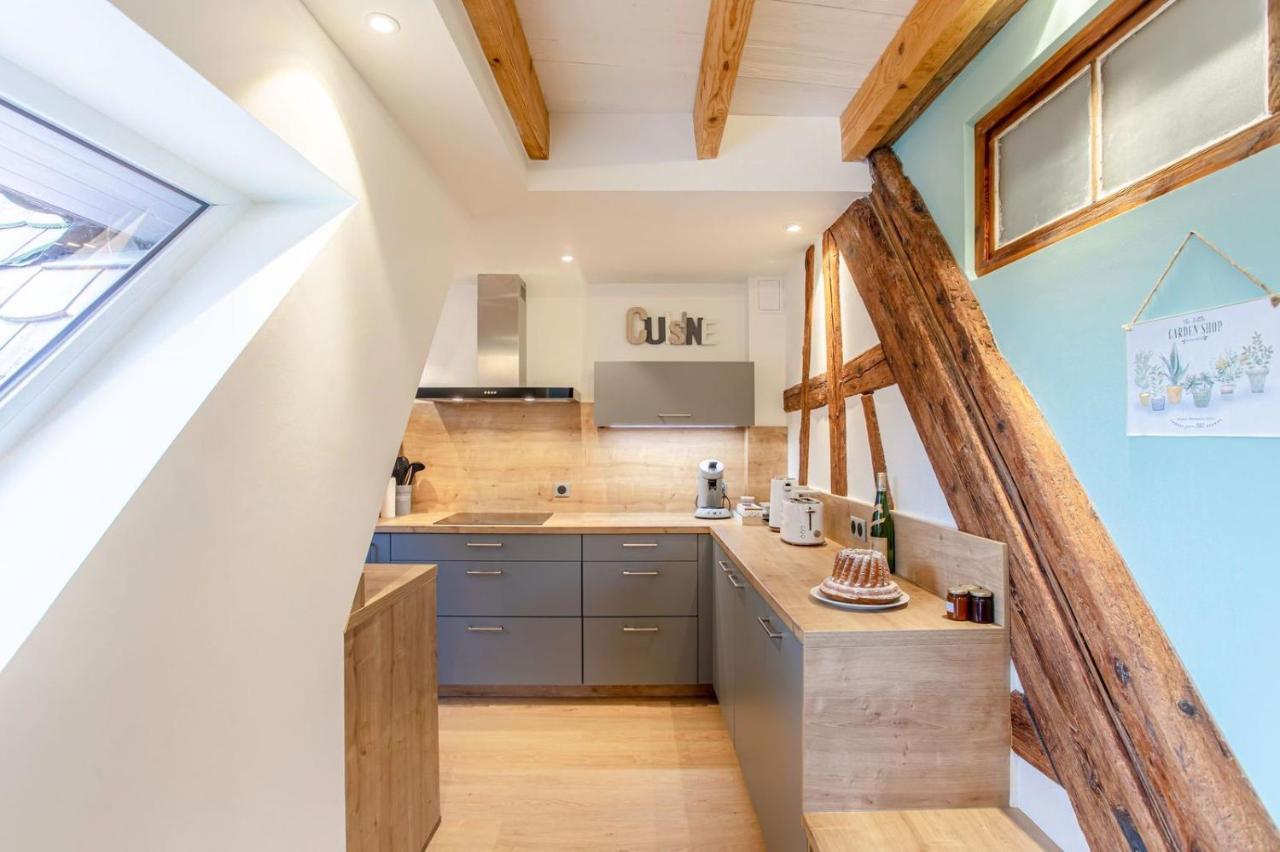 Gite La Rodernelle - Sauna Privatif - Climatisation - Vue Sur Le Chateau Du Haut Koenigsbourg Exteriér fotografie