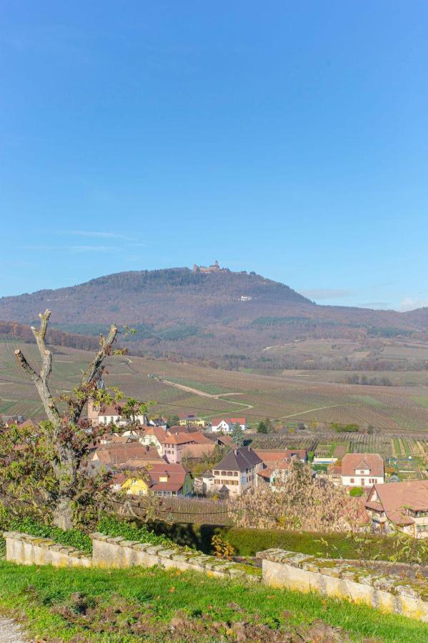 Gite La Rodernelle - Sauna Privatif - Climatisation - Vue Sur Le Chateau Du Haut Koenigsbourg Exteriér fotografie