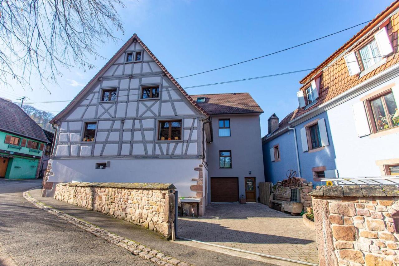 Gite La Rodernelle - Sauna Privatif - Climatisation - Vue Sur Le Chateau Du Haut Koenigsbourg Exteriér fotografie