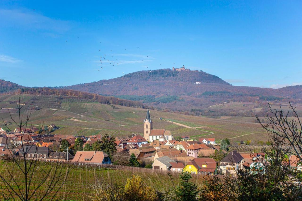 Apartmán Gite La Rodernelle - Sauna Privatif - Climatisation - Vue Sur Le Chateau Du Haut Koenigsbourg Exteriér fotografie